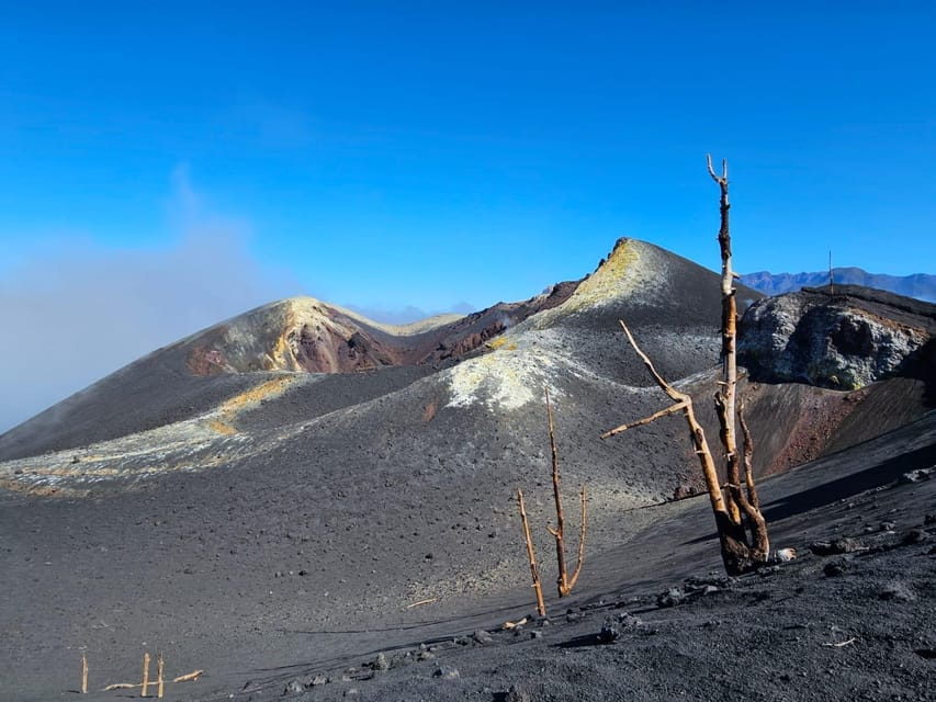 La Palma: Tour to the new Tajogaite volcano 360º. - Final Thoughts: Who Should Book This Tour?