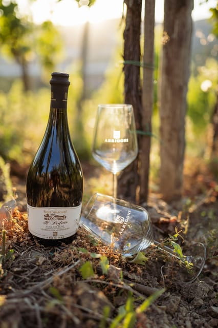 La Spezia: 4 Wines Degustation - Who Should Book This Experience?