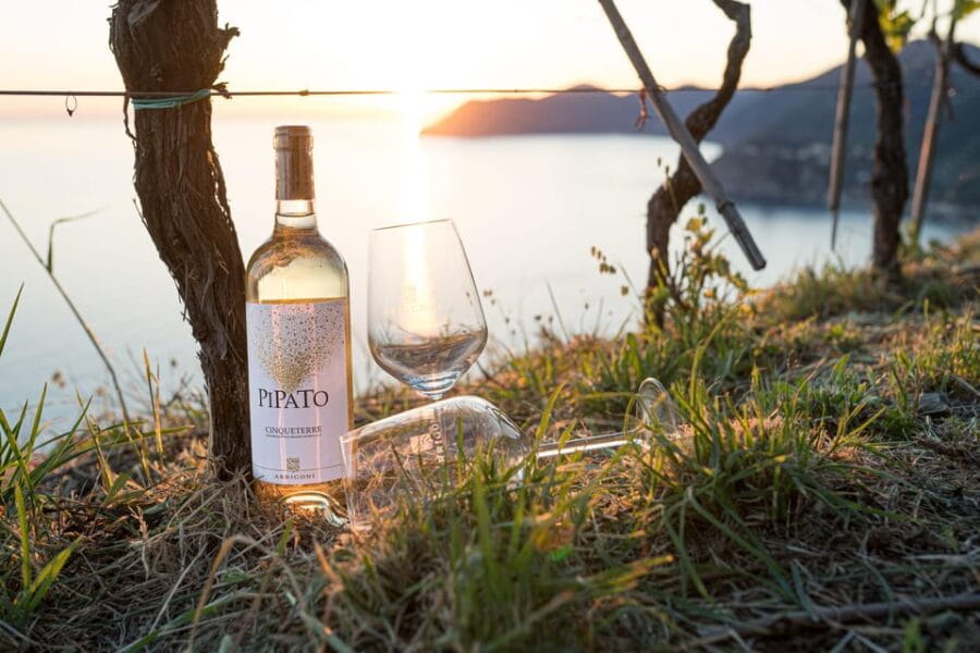 La Spezia: 4 Wines GOLD Degustation - Tasting and Food Pairings: Authentic Flavors