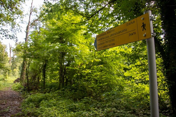 Lagodekhi - A day hiking from Tbilisi - Who Will Love This Tour?
