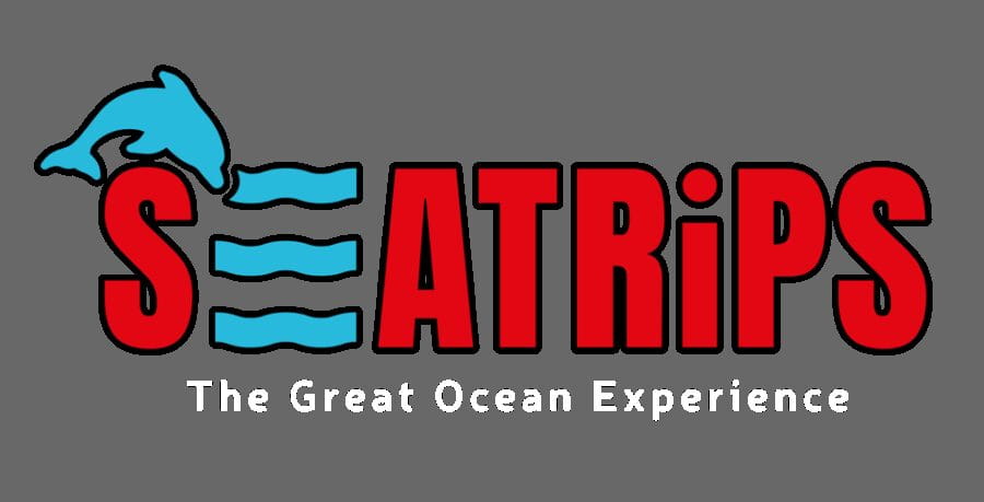 Lagos: Dolphin & Benagil Tour with Marine Biologist - Practical Details: What You Need to Know