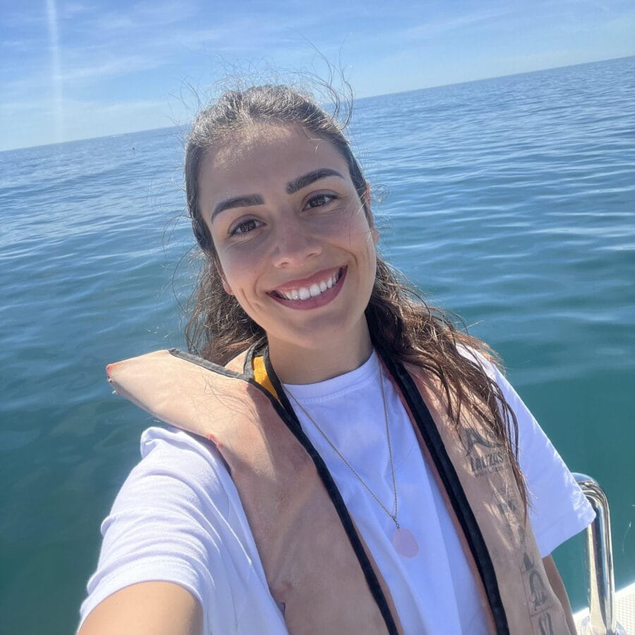 Lagos: Dolphin Watch Tour with Professional Marine Biologist - The Sum Up