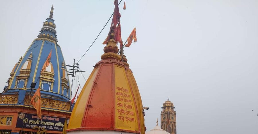 Lagos/Praia da Luz: Wine Tour, Tastings, Tapas, and Music - Who Will Love This Tour?