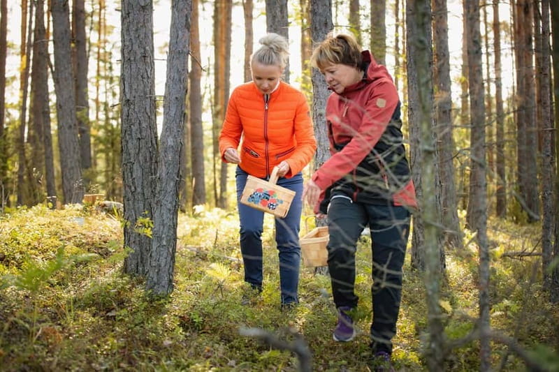 Lahti: Wild Food Foraging Tour with Tastings - Exploring Lahti’s Wild Food Scene: A Detailed Review