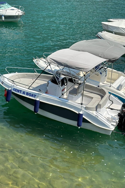 Lake Como: 2-Hours Private Boat Tour With Skipper - Who Will Love This Tour?