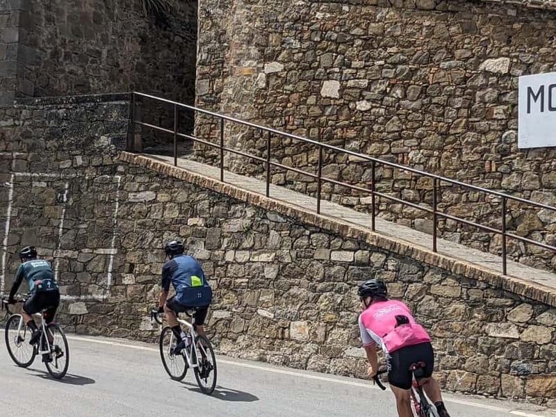 Lake Garda: Cycling Experience Around the Lake - Price and Logistics: What’s the Value?