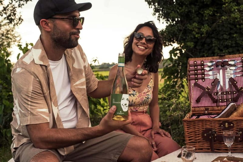 Lake Garda: Pic Nic in the vineyard with wine tasting - FAQ: Your Questions About the Vineyard Picnic and Wine Tasting