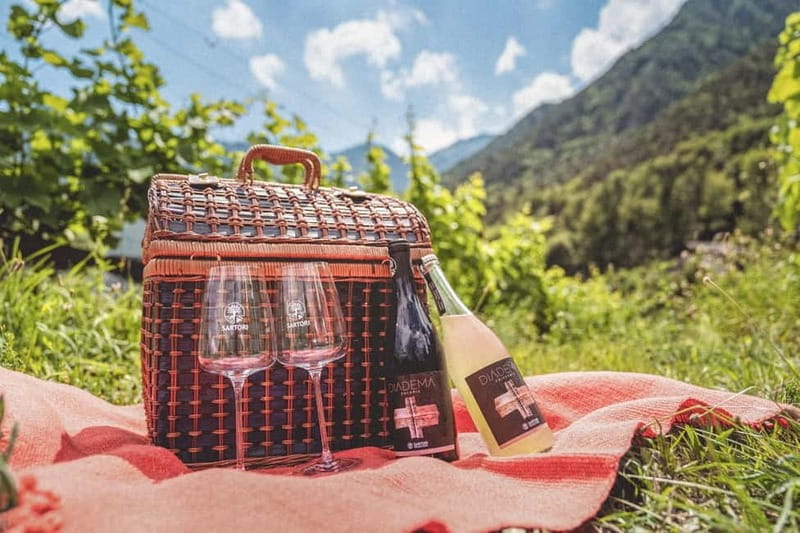 Lake Ledro: wine Pic Nic with stunning Lake View - Who Is This Experience Best Suited For?