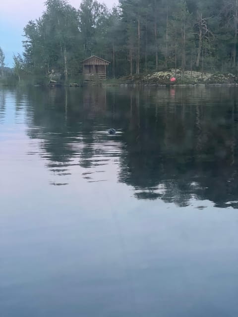 Lake Saimaa story cruise by Ecoboat in Puumala - Wildlife and Nature: Spotting the Rare and the Common