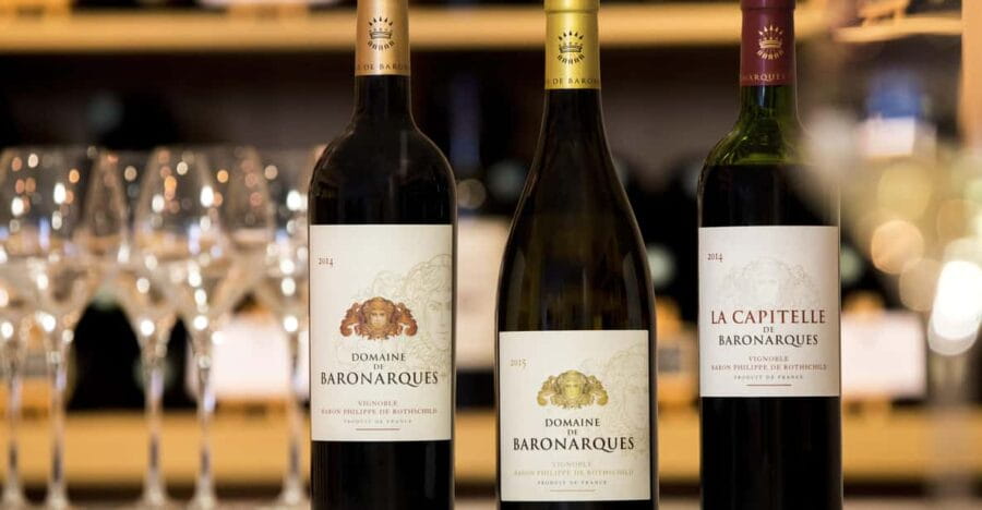 Languedoc: Terroir Tour & Tasting at Domaine de Baronarques - The Sum Up: Who Should Book This Tour?