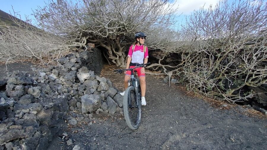 Lanzarote: Guided ebike tours around the volcanoes - Who Should Consider This Tour?