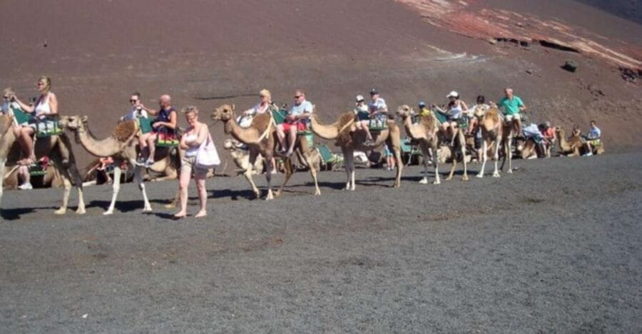 Lanzarote: Timanfaya National Park Tour - Who Should Consider This Tour?