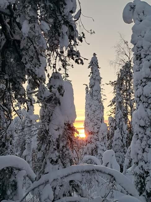Lapland: A Day at a Traditional Log Cabin & Snowshoe Trek - FAQ