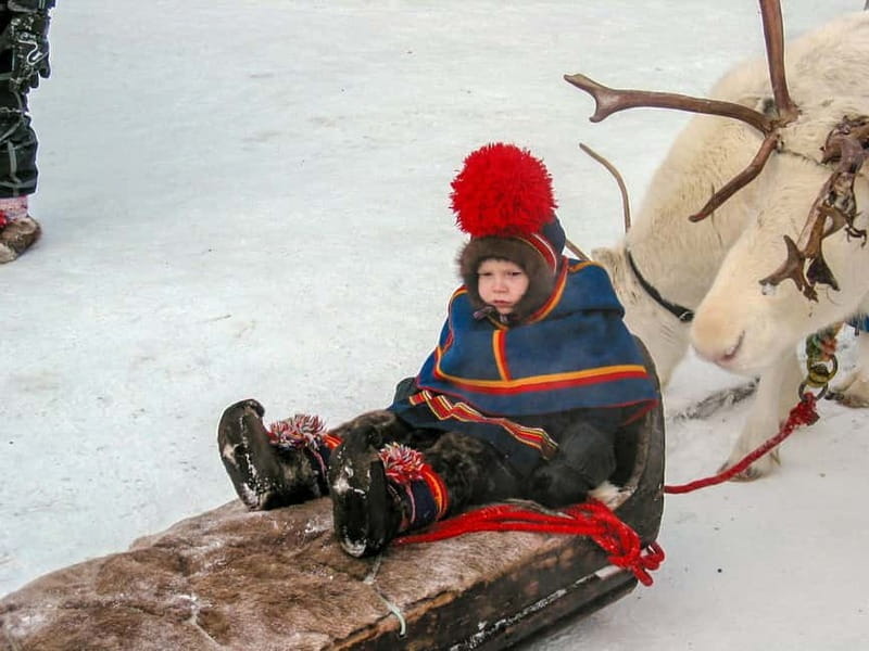 Lapland: A day on the trail of the Sami indigenous people - The Bottom Line