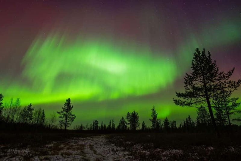 Lapland: Aurora Hunting by Minivan with Guide and Transport - Experience the Magic of Aurora Hunting in Lapland