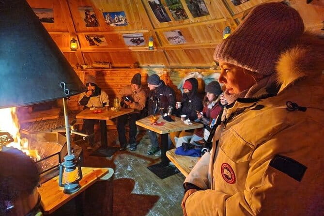 Lapland In A Day - Reindeer, Sledding, Snowmobile & Nature - Stop 1: Vikajärvi – Reindeer & Forest Adventures