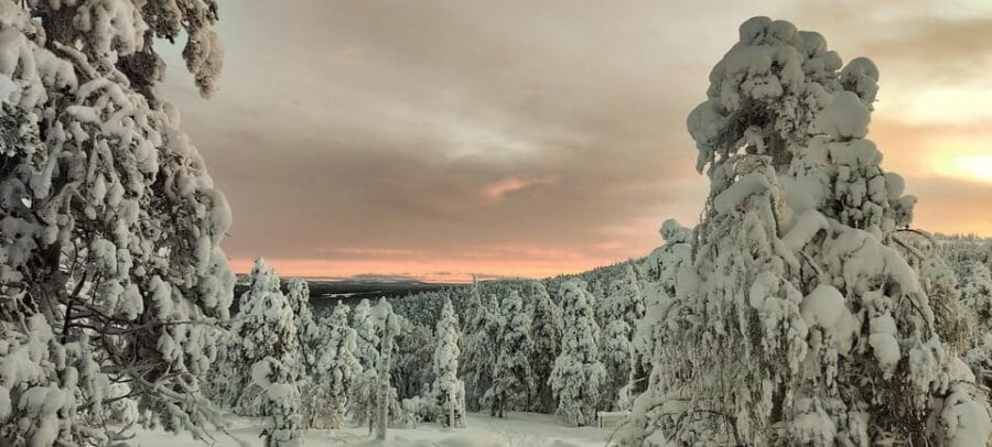 Lapland: Private VIP 7h Snowmobile Tour with Local Guide - Who This Tour Is Perfect For