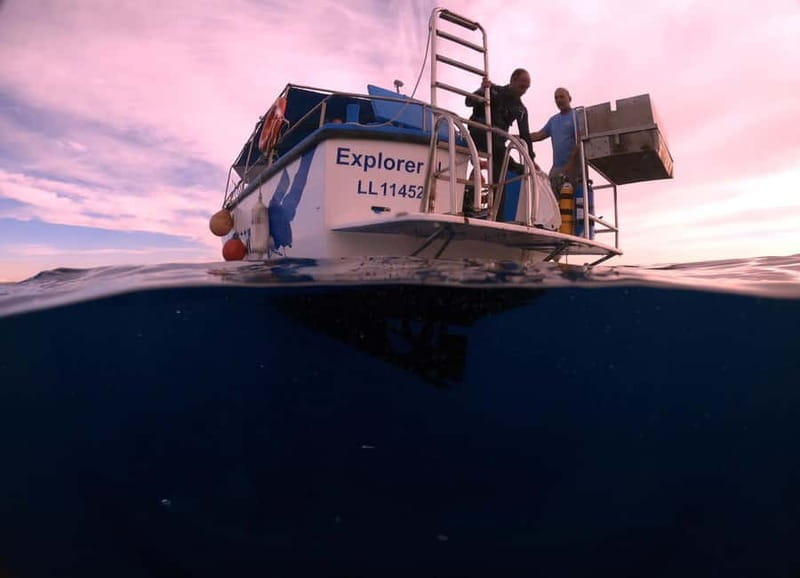 Larnaca: Snorkelling Zenobia Wreck Plus Mini Cruise - Who Should Book This Tour?