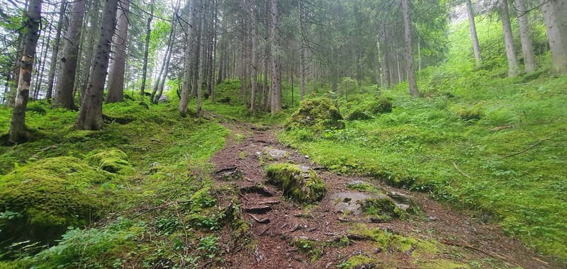 Lauterbrunnen: Private Walking Tour with an Irish Guide - What’s Included and What to Budget For