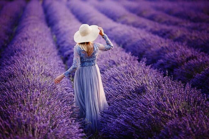 Lavender Fields Full Day Private Tour From Marseille - Counting the Cost: Is This Tour Worth It?