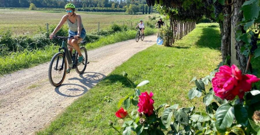 Lazise: Countryside e-Bike Tour with Wine Tasting - Price and Value