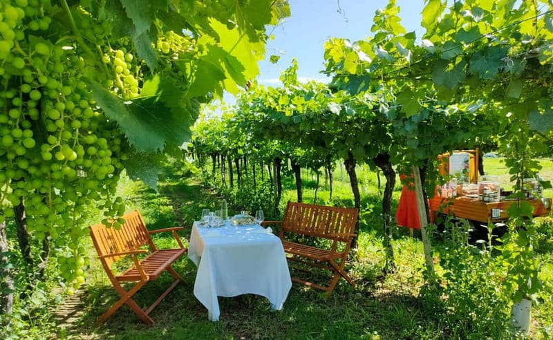 Lazise: Horseback Riding and Farm Picnic local food - Practical Details and Logistics