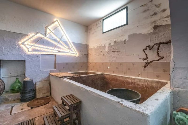 Lecce: Rural Cooking Class with Wine Tasting - Mastering Classic Salento Dishes