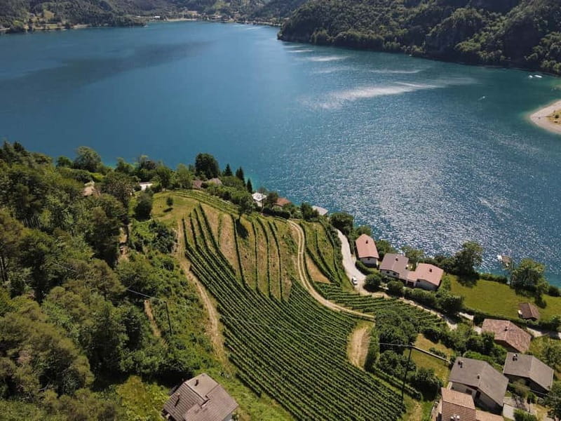 Ledro Lake: Guided Tour & Wine Tasting Among the Vines - Frequently Asked Questions