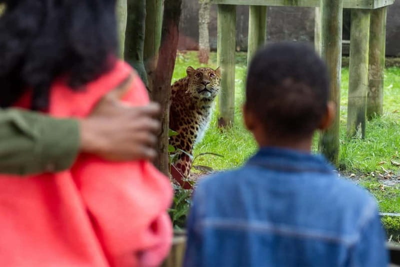 Leicestershire: Twycross Zoo Entry Ticket - Entering the World of Endangered Species