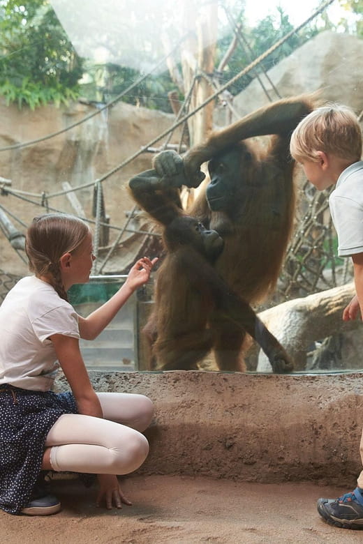 Leipzig Zoo: Entry Ticket - FAQ