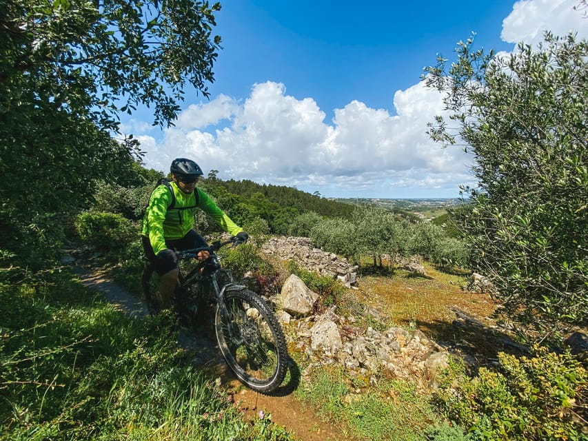Leiria E-bike and Castel tour - The Highlights: Leiria Castle and Regional Flavors