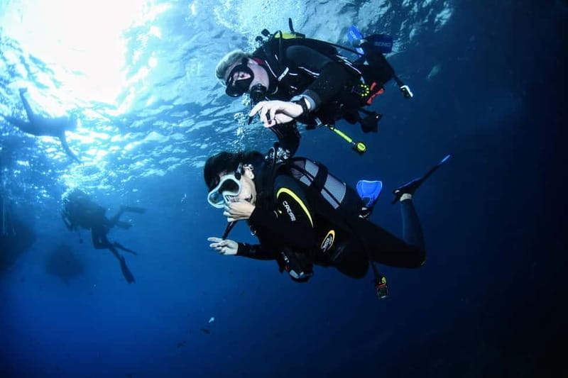 L'Estartit: Try dive in a National Park with us! - In The Sum Up
