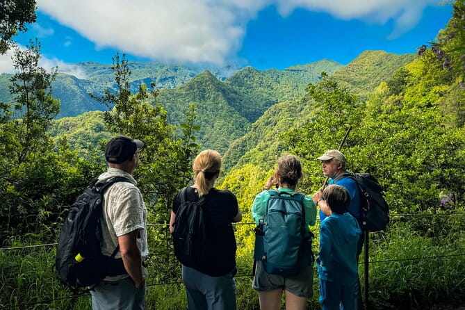 Levada do Rei (PR18) - Through Madeira's Majestic Laurissilva - Walking Through the UNESCO Forest: What to Expect