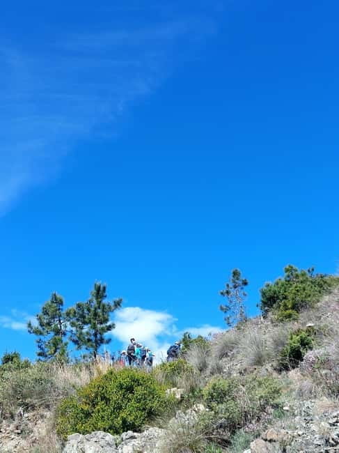 Levanto: Hiking Tour with Creative Workshop! - Creating Art with a Cyanotype Workshop