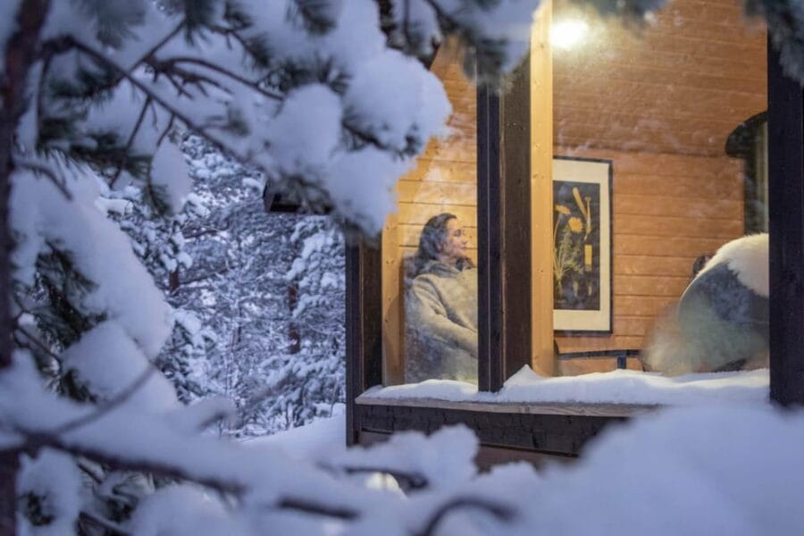 Levi: Aurora Wilderness Escape - FAQ