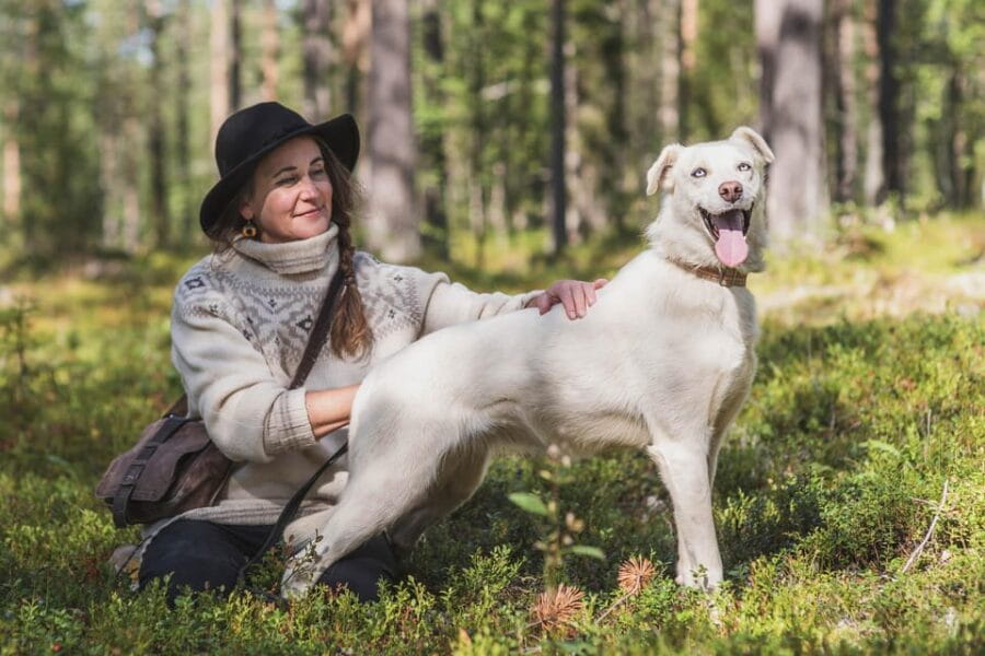 Levi: Horse and Husky Farm Visit with Juice and Cookies - Who This Tour Suits Best
