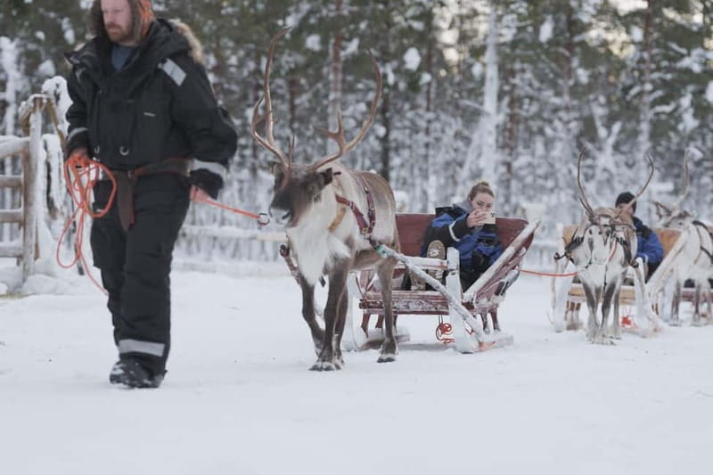Levi: Lappish Reindeer Sled Ride 3 km - The Reindeer Sled Ride: What It Feels Like