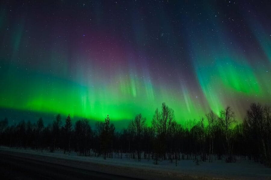 Levi: Private Tour with Guaranteed Northern Lights Sightings - Setting the Scene: What to Expect from the Tour