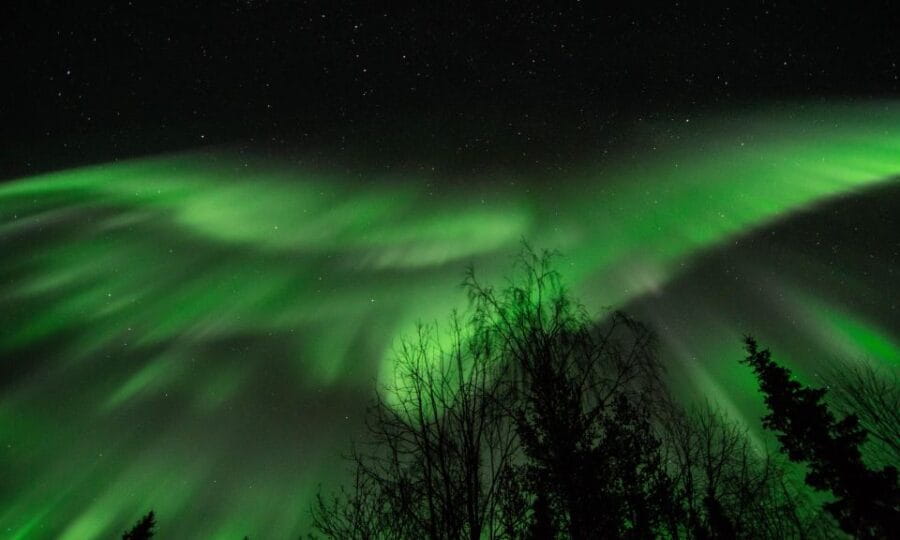 Levi: Search for Northern Lights in snowmobile sleigh - Who Is This Tour Best Suited For?