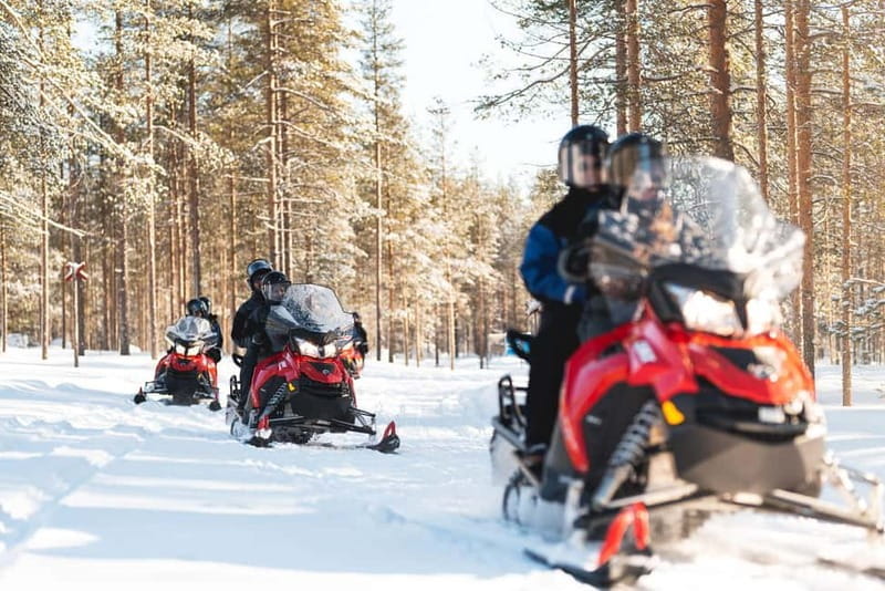Levi: Snowmobile Safari to the Levi Nature - Entering Levi’s Winter Landscape: What to Expect