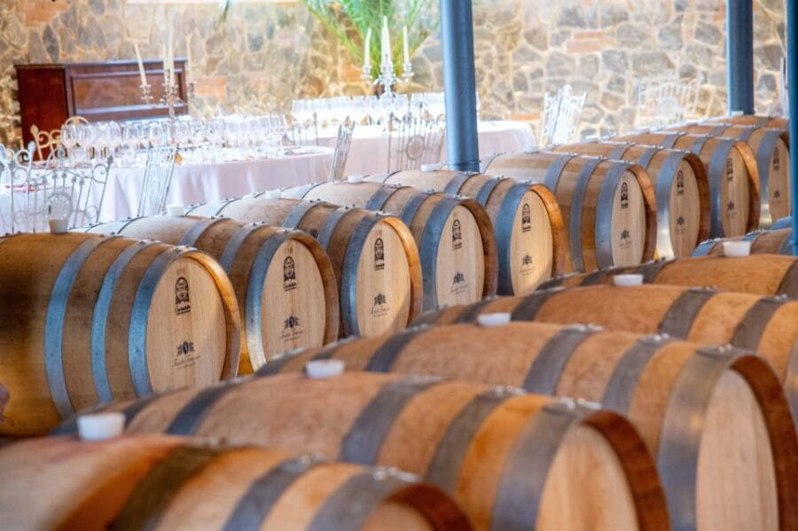 Light Lunch with Wine Tasting - What You Can Expect During the Experience