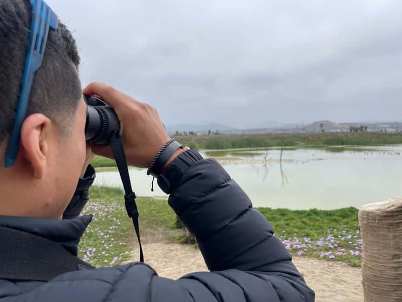 Lima: guided tour of a nature reserve on the Rimac River - The Importance of the Ecosystem and Bird Species