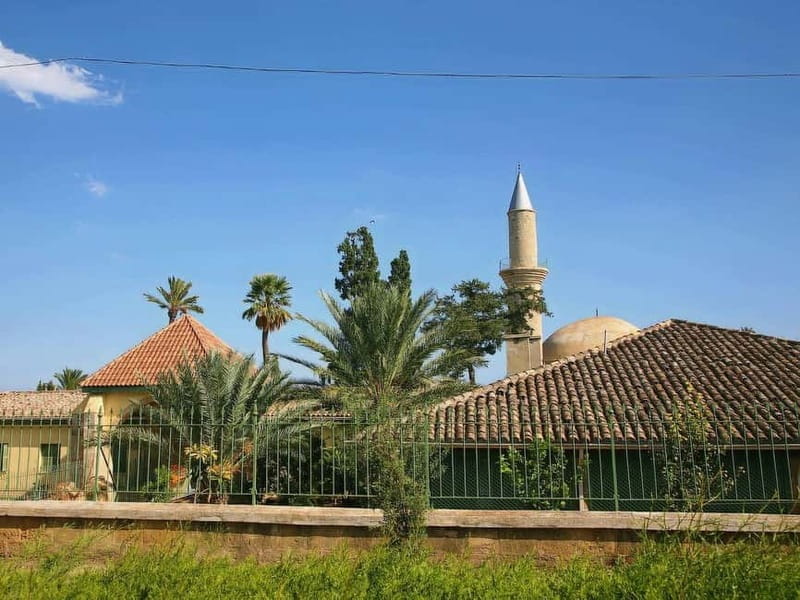 Limassol: Larnaca and Nicosia North Cyprus Private Tour - Crossing into North Nicosia: A Borderline Experience
