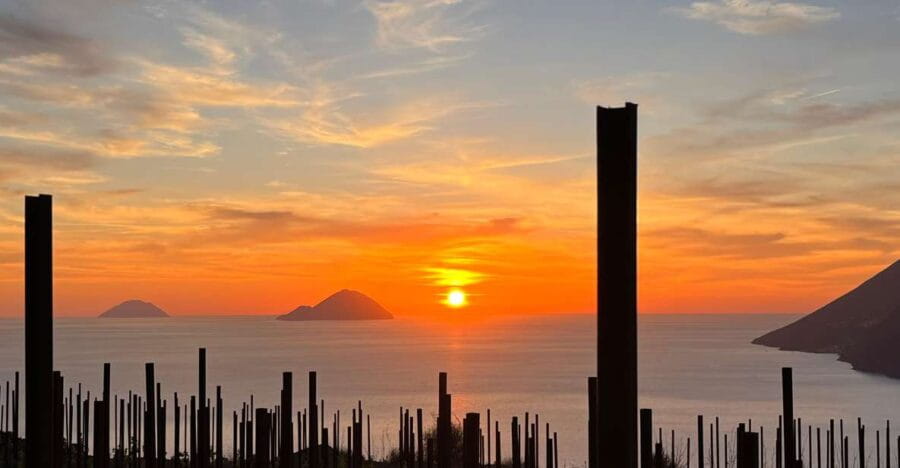 LIPARI WINERY - PIC NIC IN THE VINEYARD - Price & Logistics: Is It Worth It?