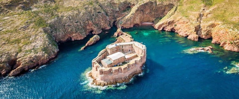 Lisbon: Berlenga Grande Island & Mafra Palace Private Trip - Transportation and Logistics: Comfort and Convenience