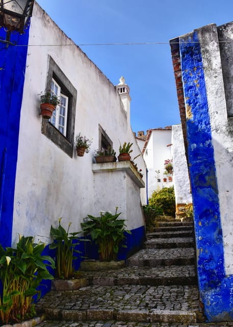 Lisbon: to Porto or vice versa Day Tour with up to 3 stops - Who This Tour Suits Best