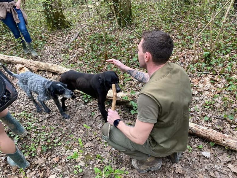 Livade: Guided Truffle Hunting Walking Tour - The Hunting Technique and Forest Environment