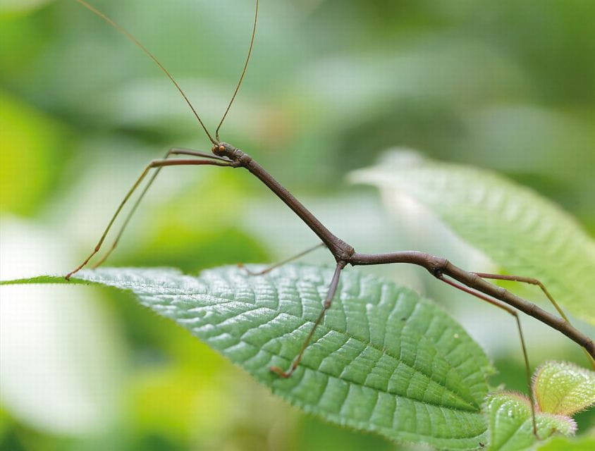 Livorno: Aquarium Entrance Ticket - Accessibility and Practical Tips