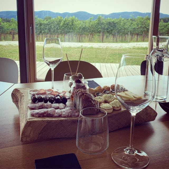 Ljubljana: Private Family-Owned Vineyard Wine Tasting Trip - Tasting experience: nine wines and local snacks