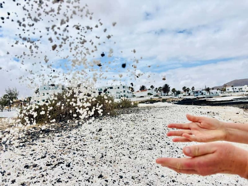Lobos Island, Popcorn Beach, & Dunes Tour - Who Should Consider This Tour?